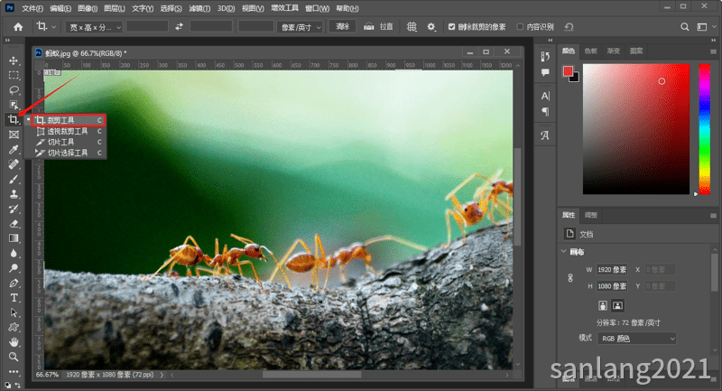 photoshop裁剪工具