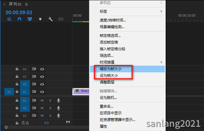pr设为帧大小