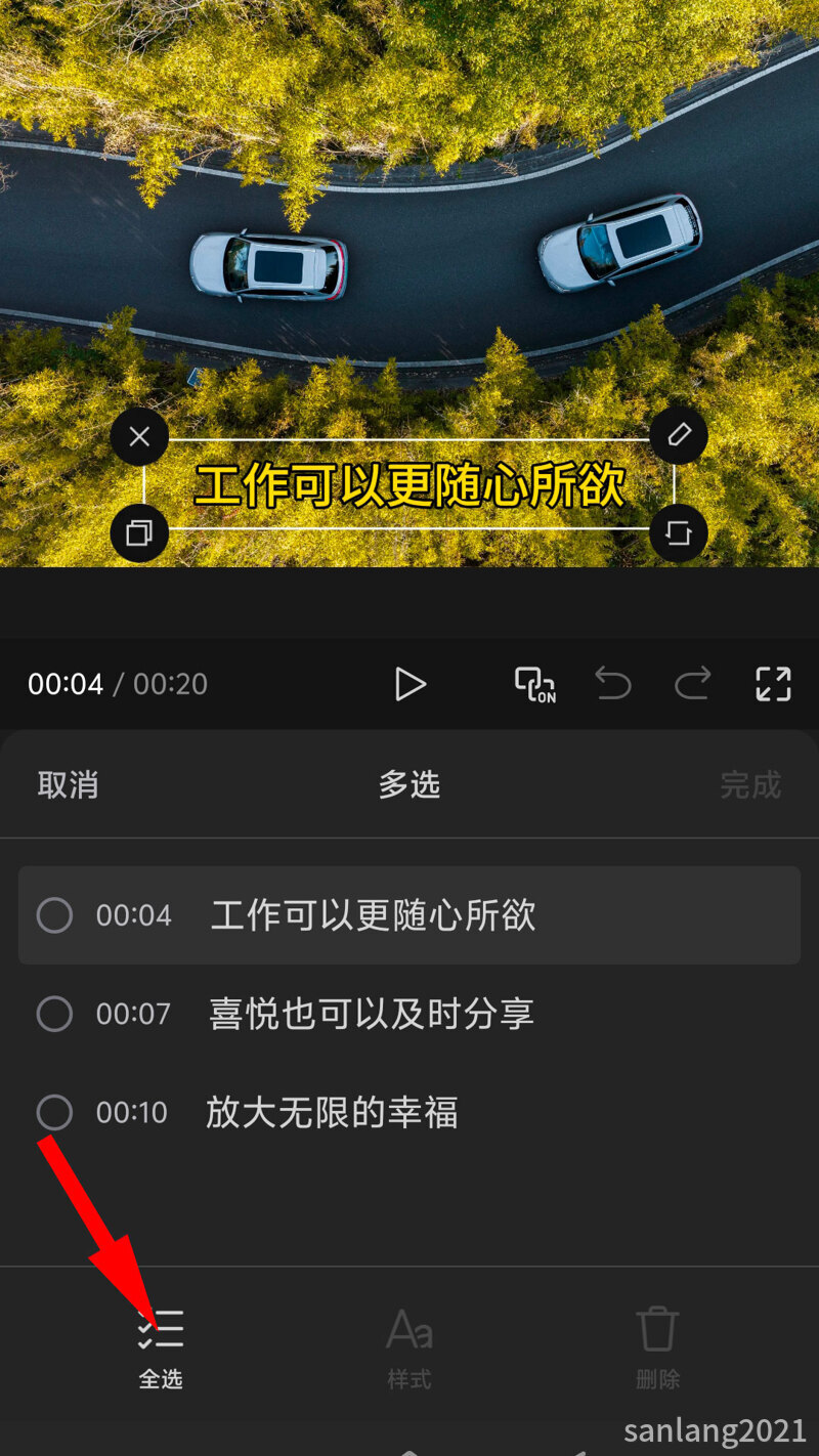 04全选字幕