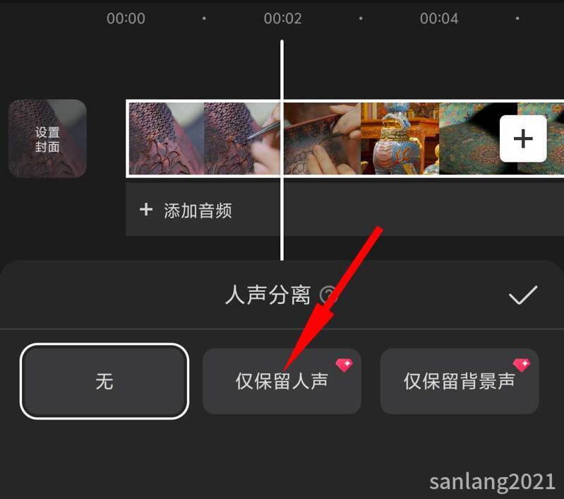 仅保留人声 仅保留人声