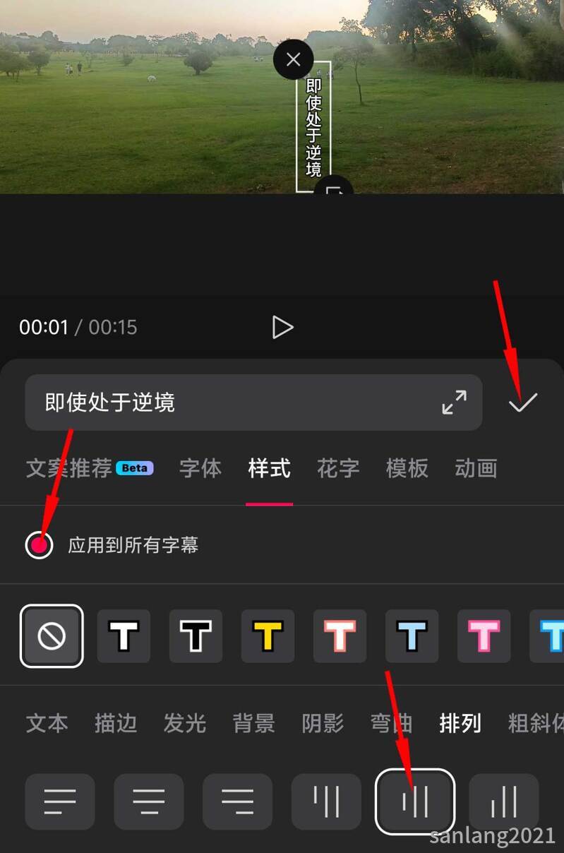 导入字幕竖排显示