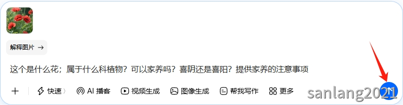 豆包截图提问生成结果